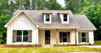 Lake Eddins New Construction!! - photo 2