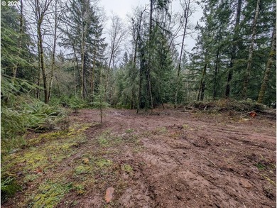 (private lake, pond, coastal) Lot For Sale in Battleground Washington