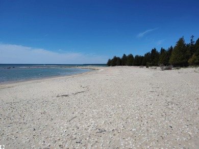 Lake Michigan - Charlevoix County Acreage For Sale in Beaver Island Michigan