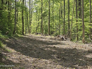 42.5 acres of private East Tennessee land located just 7 miles - photo 2