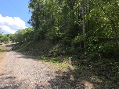 42.5 acres of private East Tennessee land located just 7 miles - photo 3