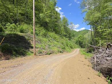 42.5 acres of private East Tennessee land located just 7 miles - photo 4