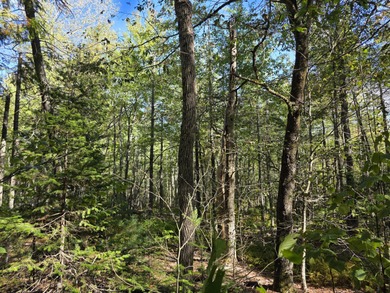 Mill Pond Acreage For Sale in Belfast Maine