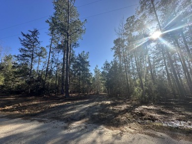 Lake Lot For Sale in Lincolnton, Georgia