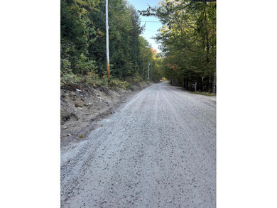 Bear Pond - Oxford County Acreage For Sale in Waterford Maine