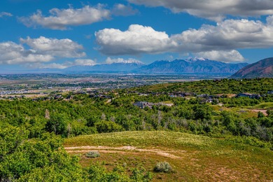 Utah Lake Lot For Sale in Woodland Hills Utah