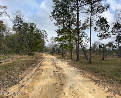 Shown by appointment only, please do not drive down Indian Fork - photo 40