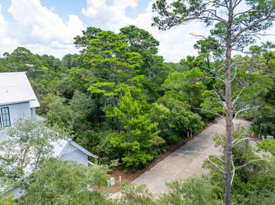 Gated, Private, one of the Jewels of Florida Emerald Coast and 1 - photo 18