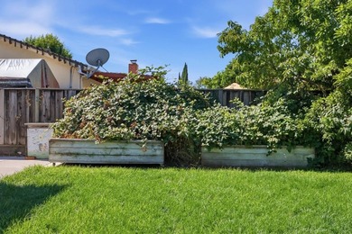 Charming and move-in ready, this 3-bedroom, 2-bath home offers 1 - photo 25