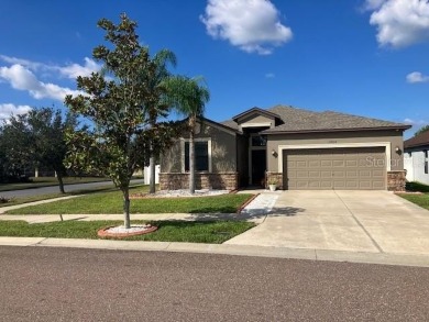 (private lake, pond, creek) Home Sale Pending in Riverview Florida