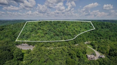 Center Hill Lake Acreage For Sale in Silver Point Tennessee