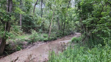 Lake Acreage For Sale in Point Blank, Texas