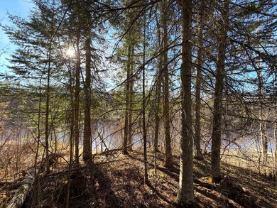 Seller financing is available with a Contract for Deed. Located - photo 28