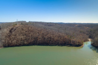 Bring you Builder! 18.3 Acres on Watts Bar/Clinch River! - Lake Lot For Sale in Kingston, Tennessee