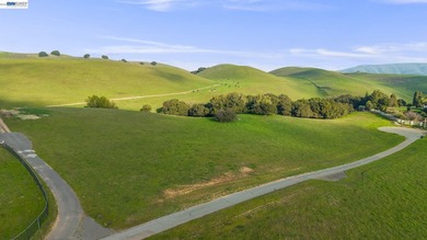 Over 20 acres of stunning land in the Bay Area with 360-degree - photo 8