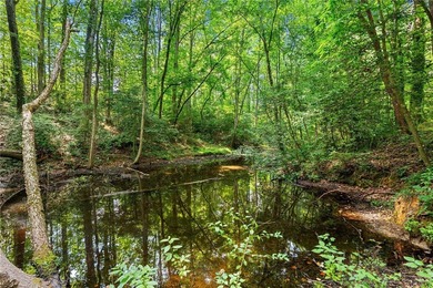 Don't miss the opportunity to build your dream home on this last - photo 13