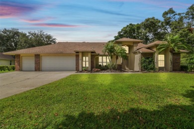 Lake Home For Sale in Odessa, Florida