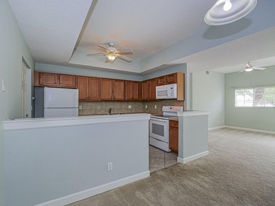 Beautifully maintained, move-in ready 2/2 + garage, impact - photo 10