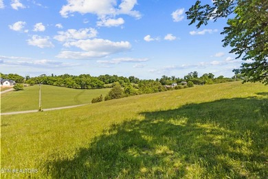 Holston River front lot in this beautiful upscale neighborhood - photo 3