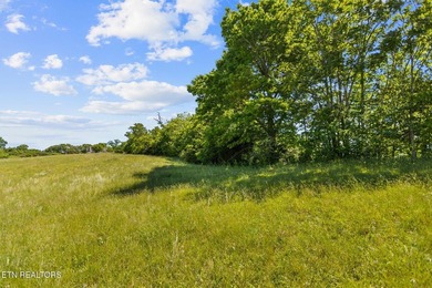 Holston River front lot in this beautiful upscale neighborhood - photo 5