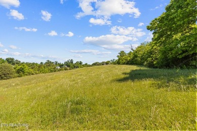 Holston River front lot in this beautiful upscale neighborhood - photo 6
