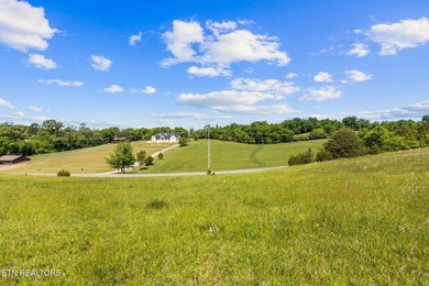 Holston River front lot in this beautiful upscale neighborhood - photo 7