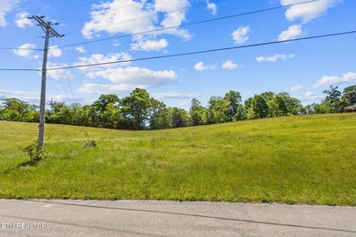 Holston River front lot in this beautiful upscale neighborhood - photo 8