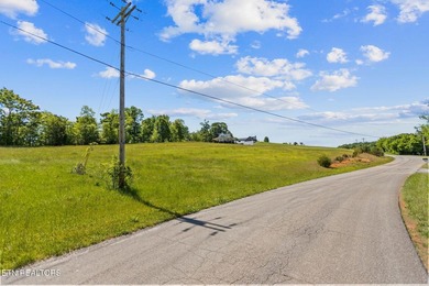 Holston River front lot in this beautiful upscale neighborhood - photo 9