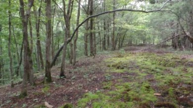 Dale Hollow Lake Acreage For Sale in Celina Tennessee