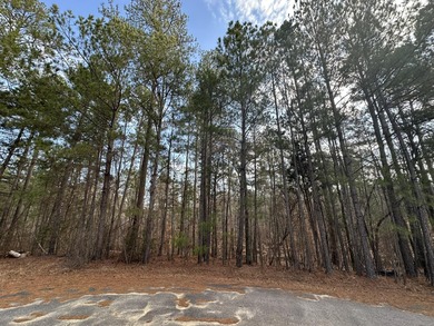 Strom Thurmond / Clarks Hill Lake Lot For Sale in Mccormick South Carolina