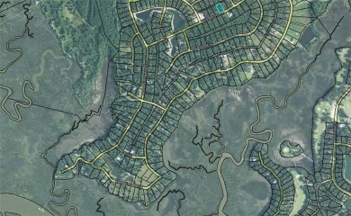 Sapelo River Lot For Sale in Shellman Bluff Georgia