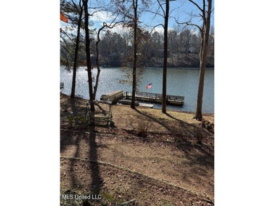 Well maintained home on the lake with pier and boat slip. Home - photo 11
