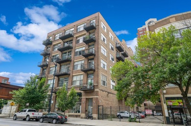 Lake Michigan - Cook County Condo For Sale in Chicago Illinois