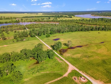 Duck Island is a 1,586 acre hunting and fishing oasis surrounded - photo 13