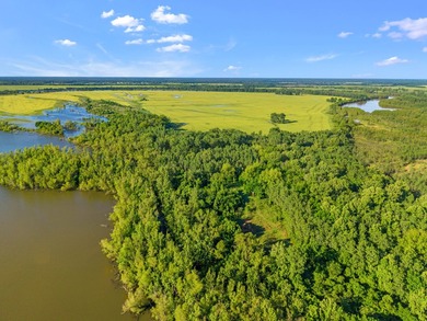 Duck Island is a 1,586 acre hunting and fishing oasis surrounded - photo 17