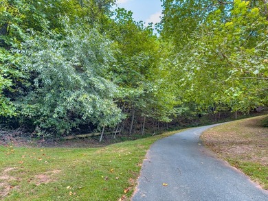 These three adjoining lots, affectionately known as the - photo 17