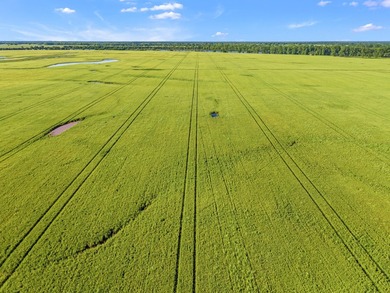 Duck Island is a 1,586 acre hunting and fishing oasis surrounded - photo 18