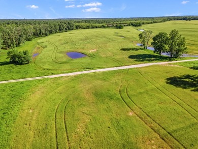 Duck Island is a 1,586 acre hunting and fishing oasis surrounded - photo 21
