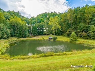 These three adjoining lots, affectionately known as the - photo 21