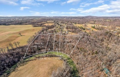Lake Acreage For Sale in Sparta, Tennessee