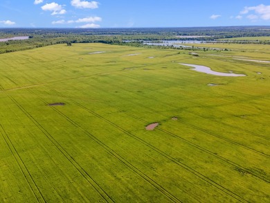 Duck Island is a 1,586 acre hunting and fishing oasis surrounded - photo 24