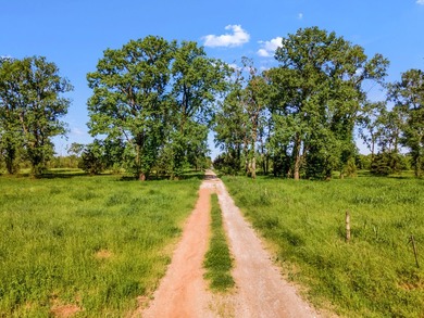 Duck Island is a 1,586 acre hunting and fishing oasis surrounded - photo 27