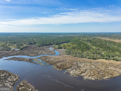 (private lake, pond, creek) Acreage For Sale in Waverly Georgia