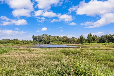 Duck Island is a 1,586 acre hunting and fishing oasis surrounded - photo 31