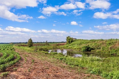 Duck Island is a 1,586 acre hunting and fishing oasis surrounded - photo 32
