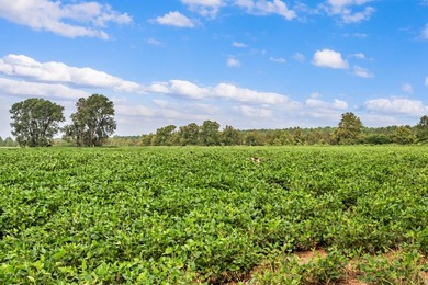 Duck Island is a 1,586 acre hunting and fishing oasis surrounded - photo 34