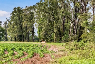 Duck Island is a 1,586 acre hunting and fishing oasis surrounded - photo 39