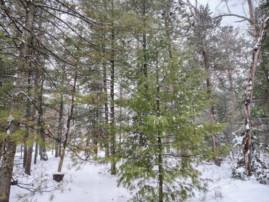 Houghton Lake Lot For Sale in Prudenville Michigan