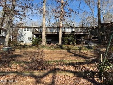 Well maintained home on the lake with pier and boat slip. Home - photo 42