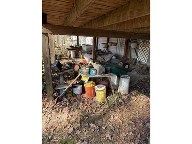Well maintained home on the lake with pier and boat slip. Home - photo 49